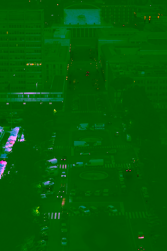 Fotografia equestre professionale